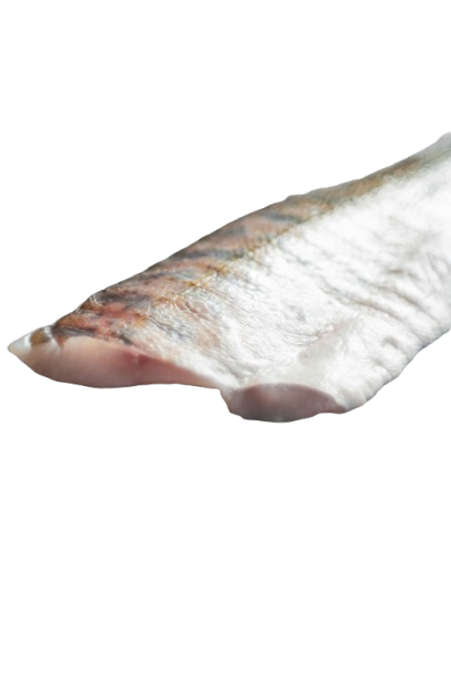 Fish is a source of omega 3